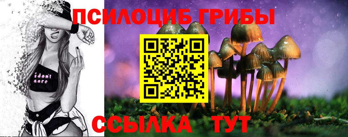 Псилоцибиновые грибы прущие грибы  Вход с VPN  Петровск  Галлюциногенные грибы Cubensis 